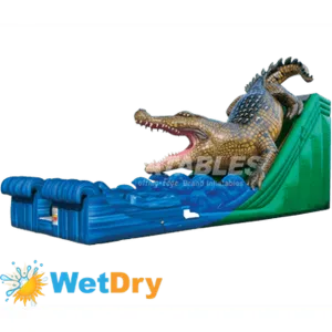 20' King Croc Wet/Dry Slide