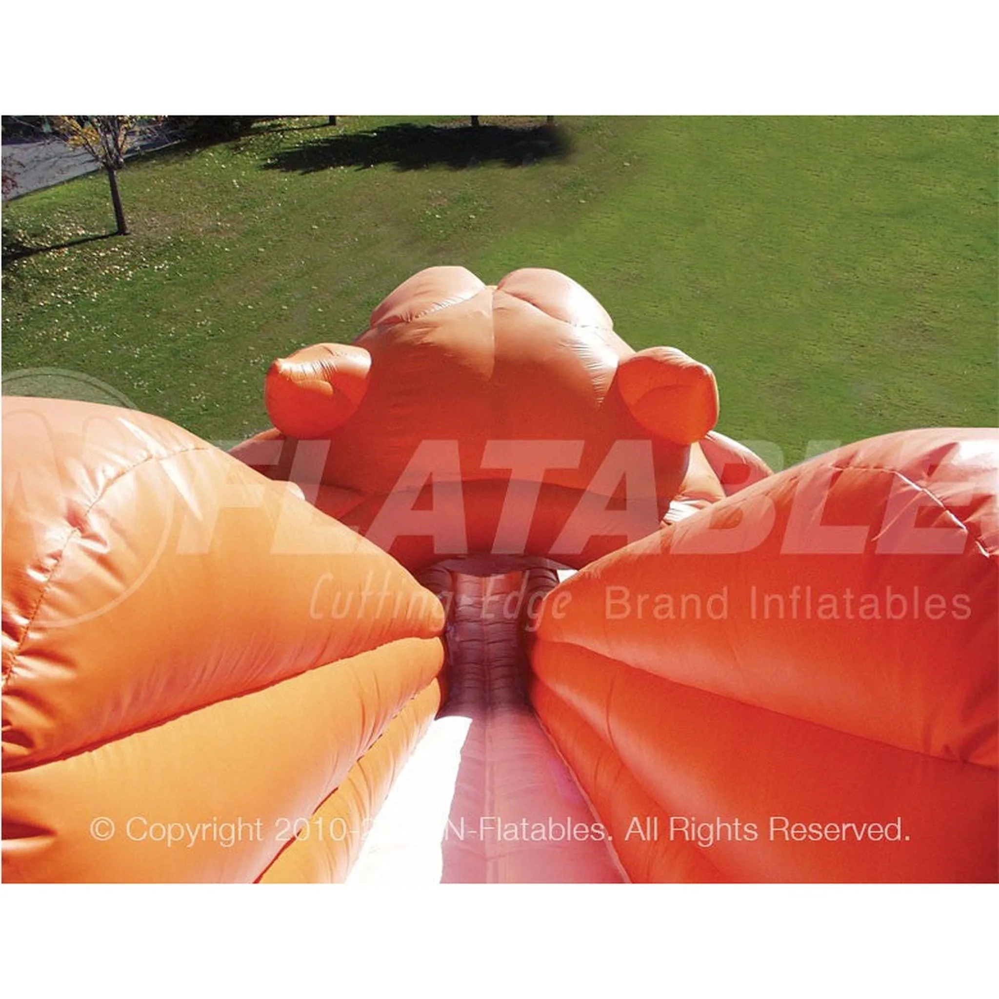 35' Sabretooth Dual Slide