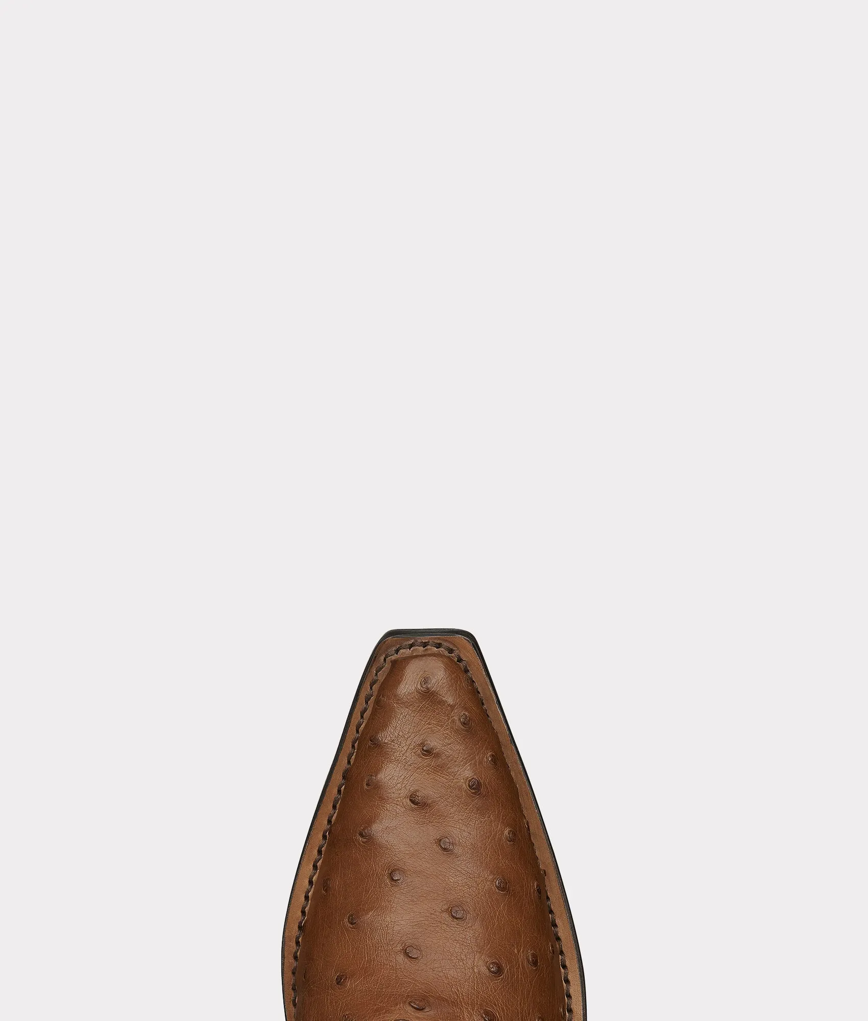 Augusta :: Tan   Camel