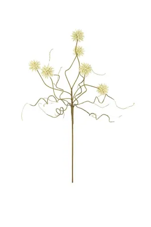 Botanica #2443 (Pack of 6)