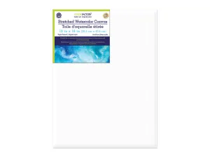 Color Factory 12" x 16" Primed Stretch Artist Canvas