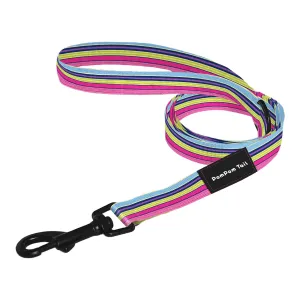 Colorful Good Dog Leash for Big Dogs with Stripe World Design