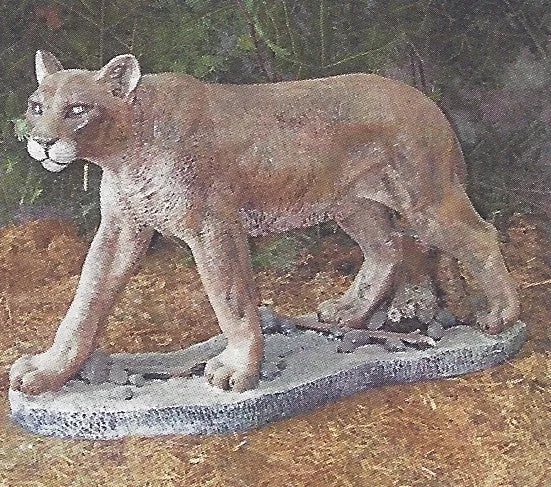 Cougar