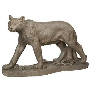 Cougar