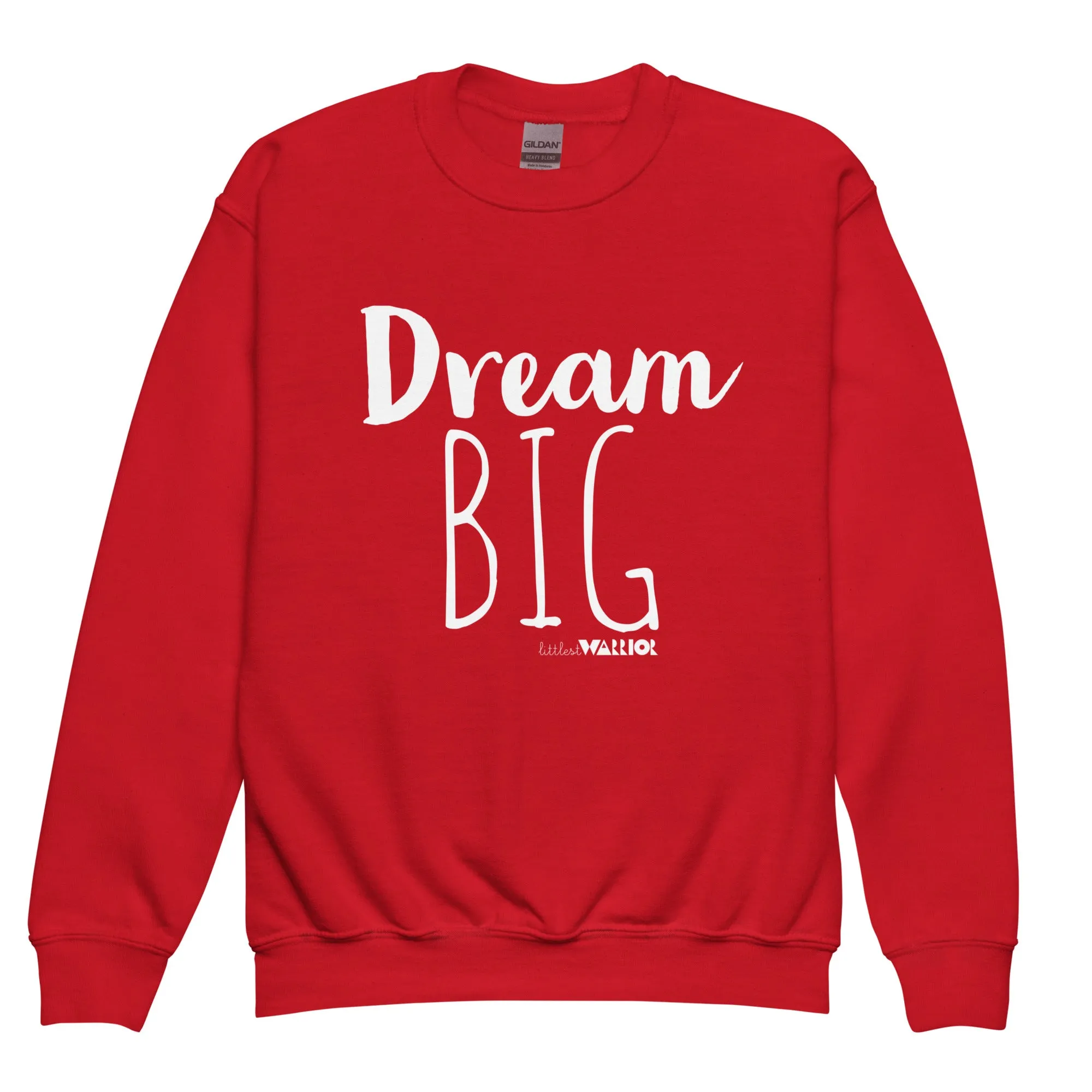 Dream Big Youth crewneck sweatshirt