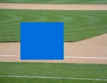 Field Tarps