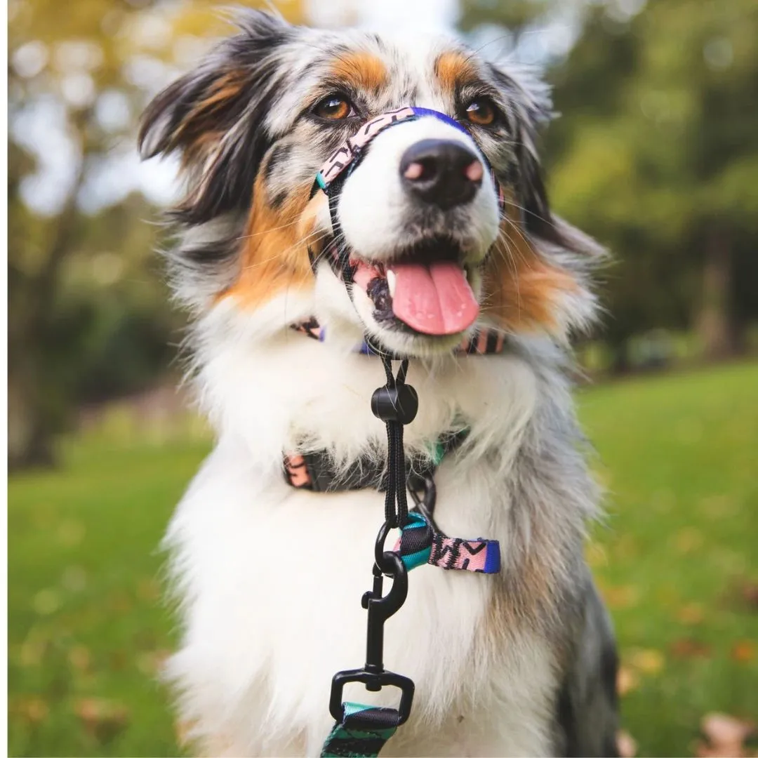 Gumball Halter    Safety Clip