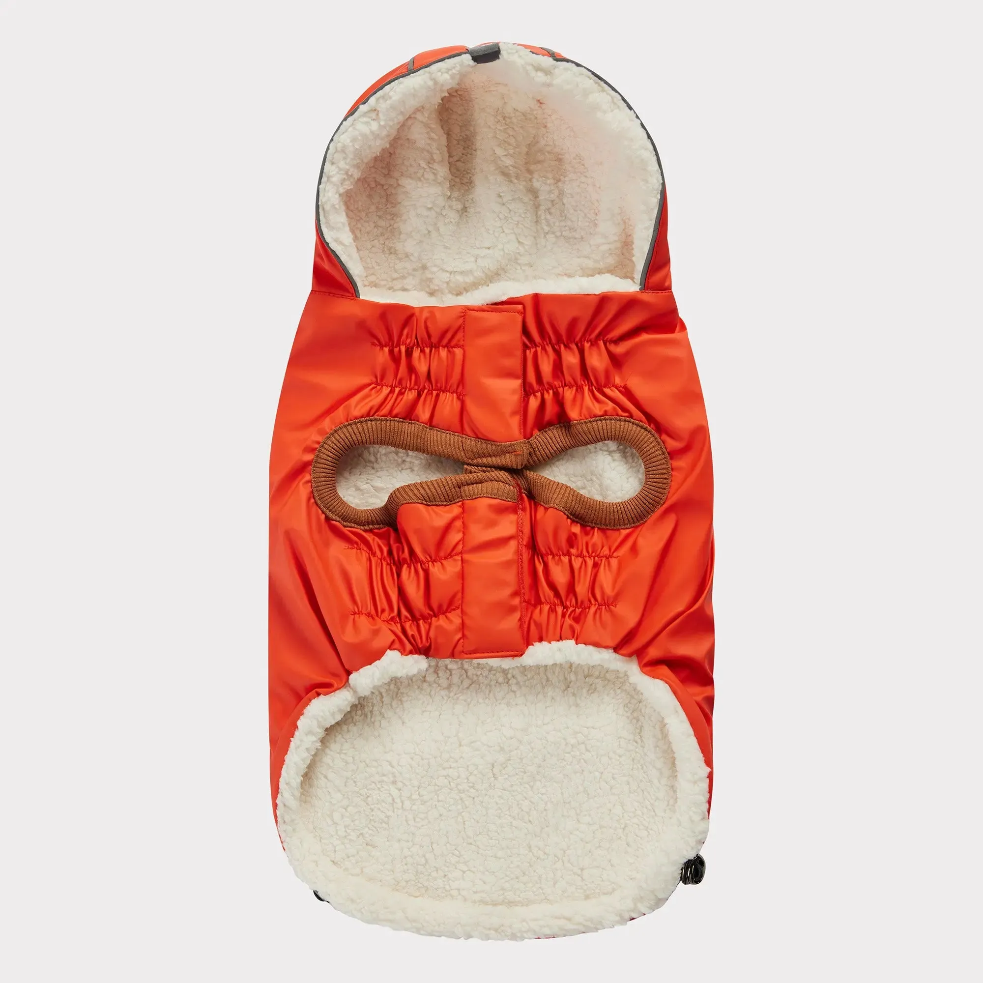 Insulated Dog Raincoat | Orange