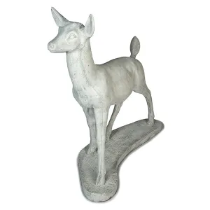 Large Doe