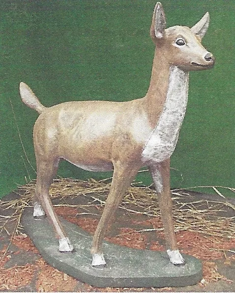 Large Doe