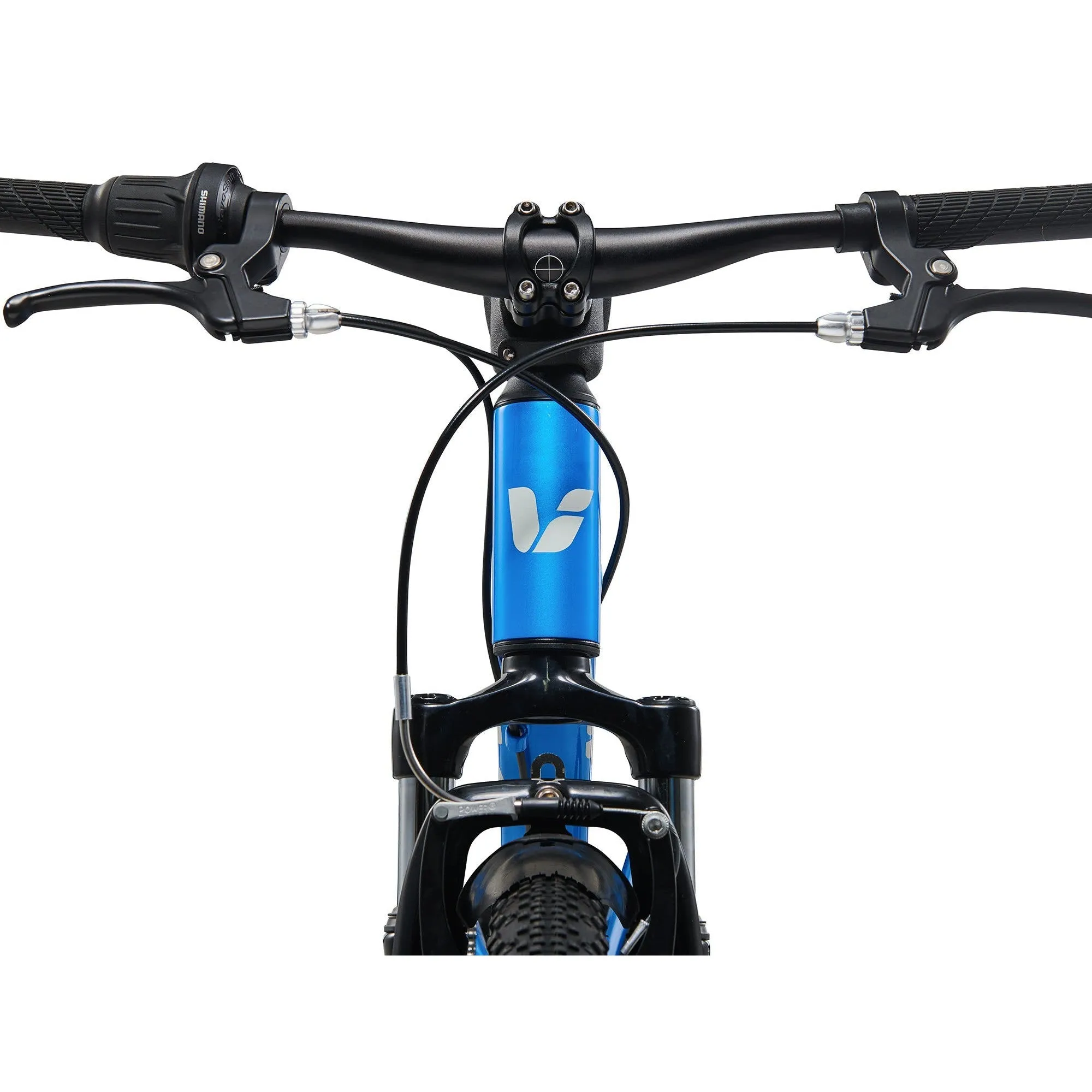 Liv 2025 Tempt 20 Kids Bike