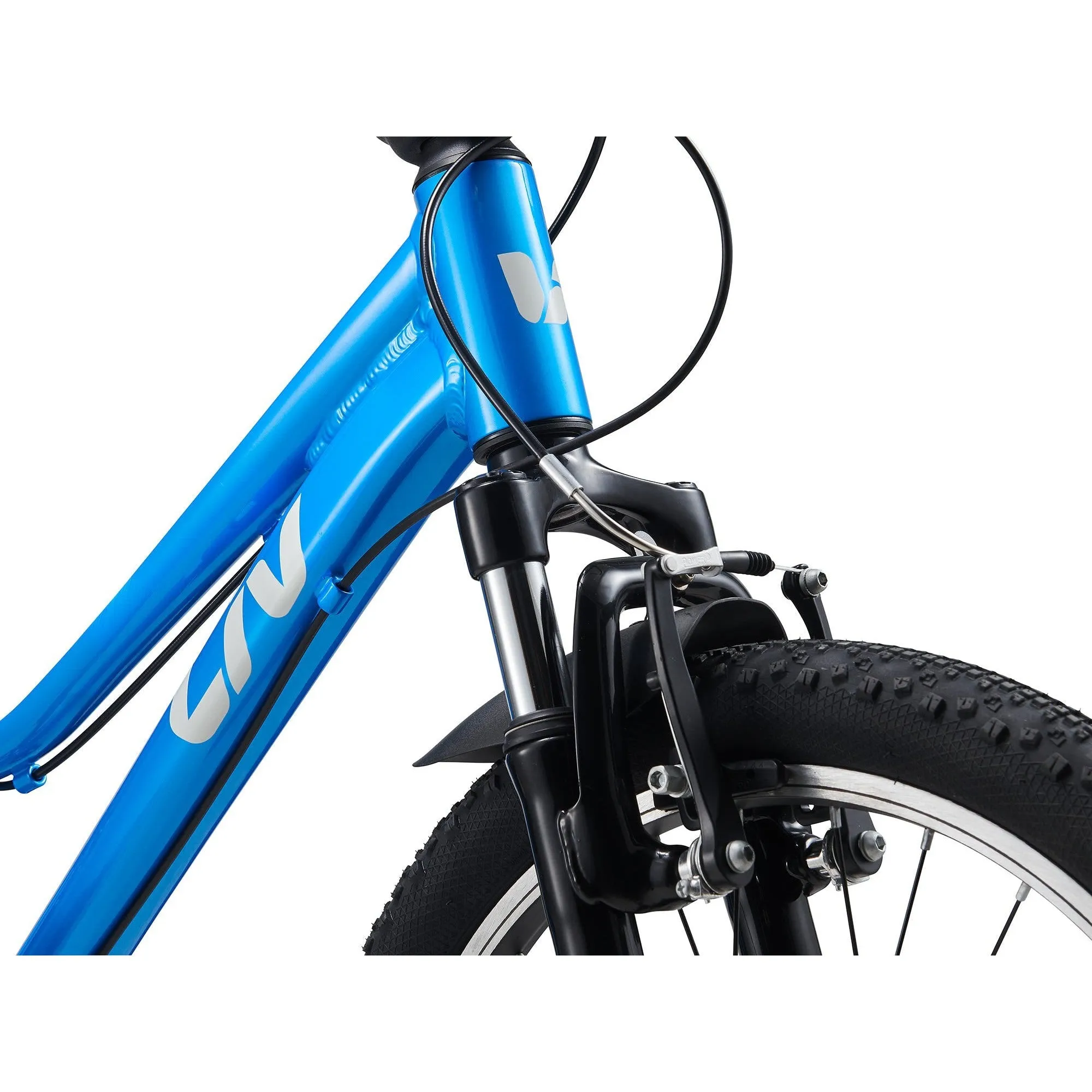 Liv 2025 Tempt 20 Kids Bike