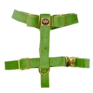 MOLLY & CO. - Adjustable Strap Harness - Fern Velvet