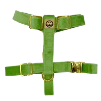MOLLY & CO. - Adjustable Strap Harness - Fern Velvet