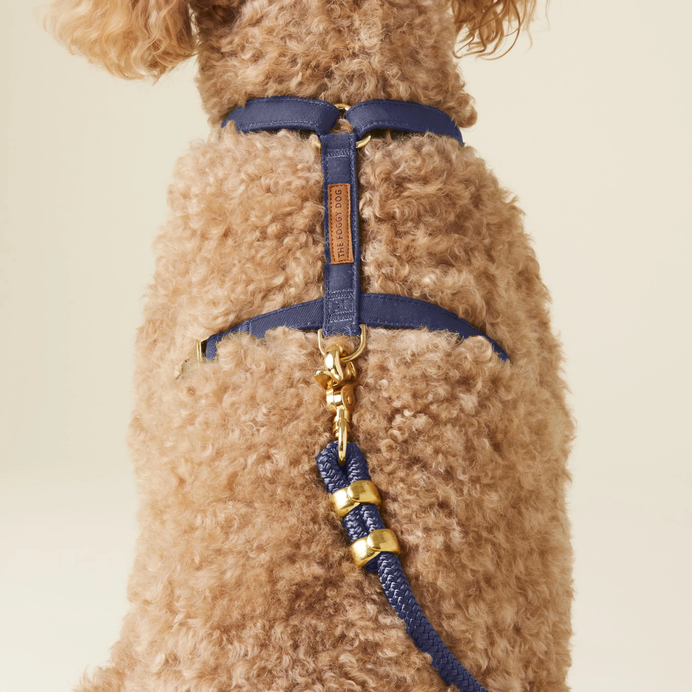 Ocean Dog Harness