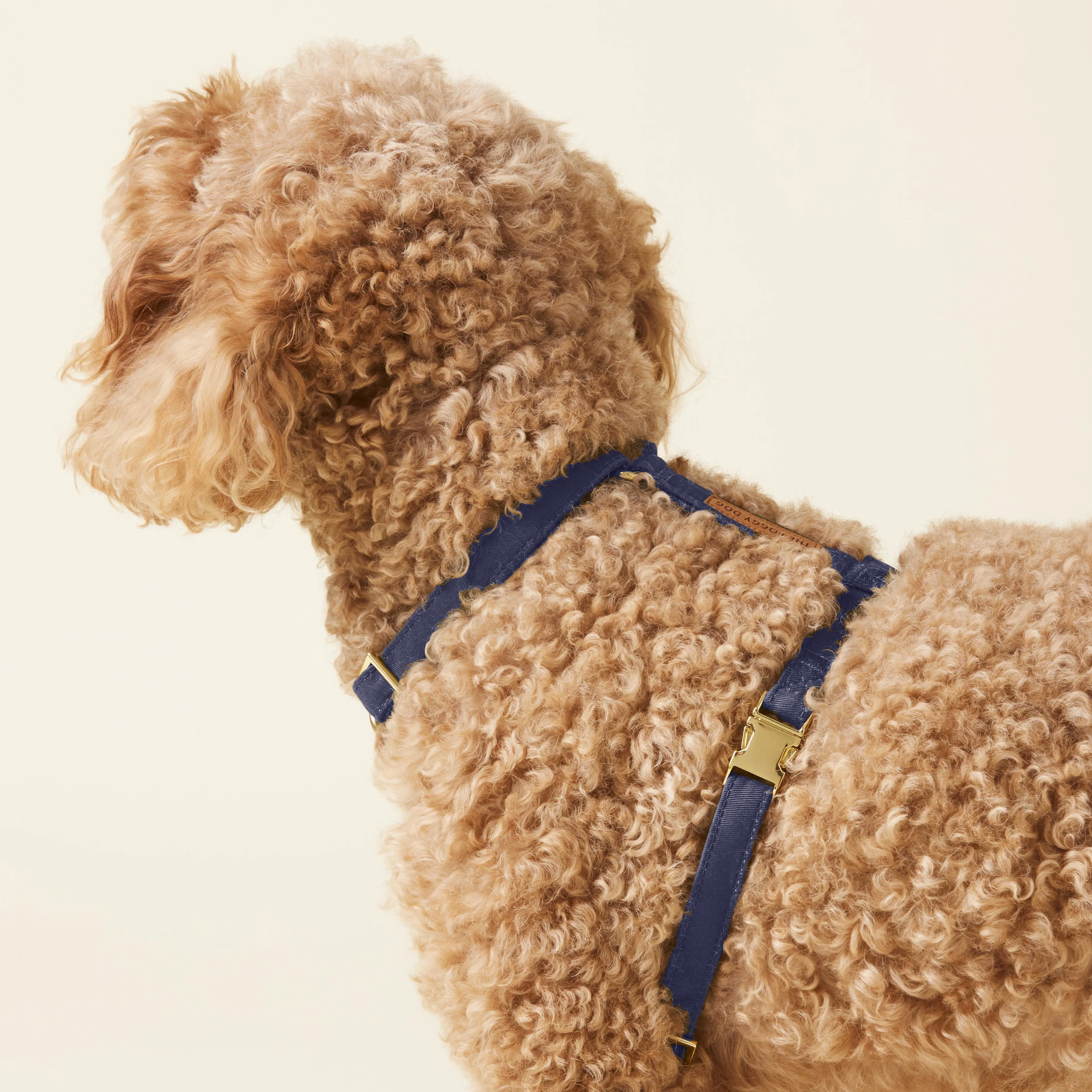 Ocean Dog Harness