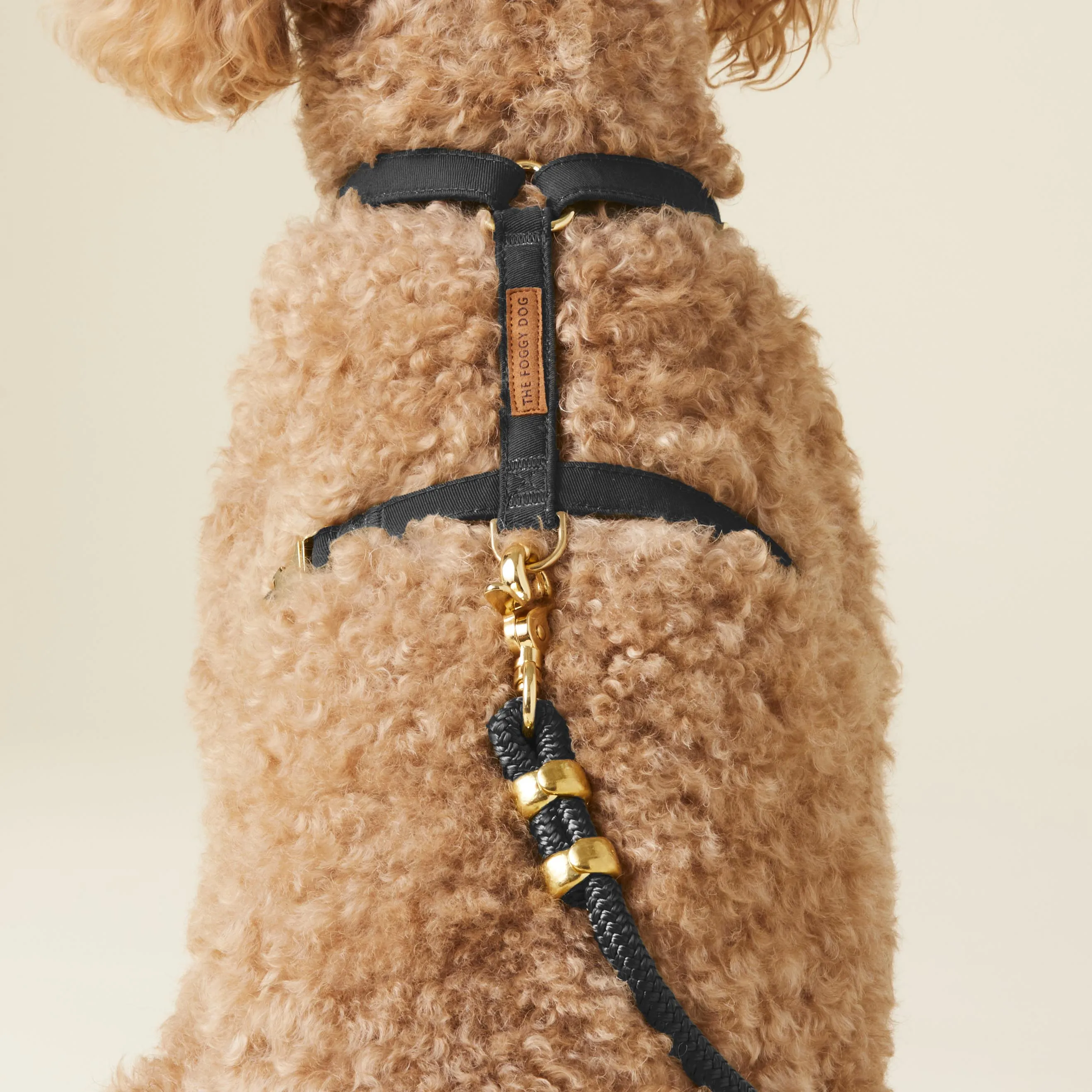 Onyx Dog Harness