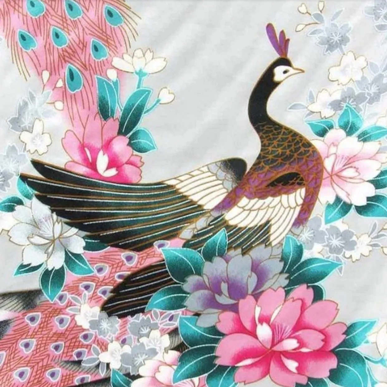 Peacock Mommy