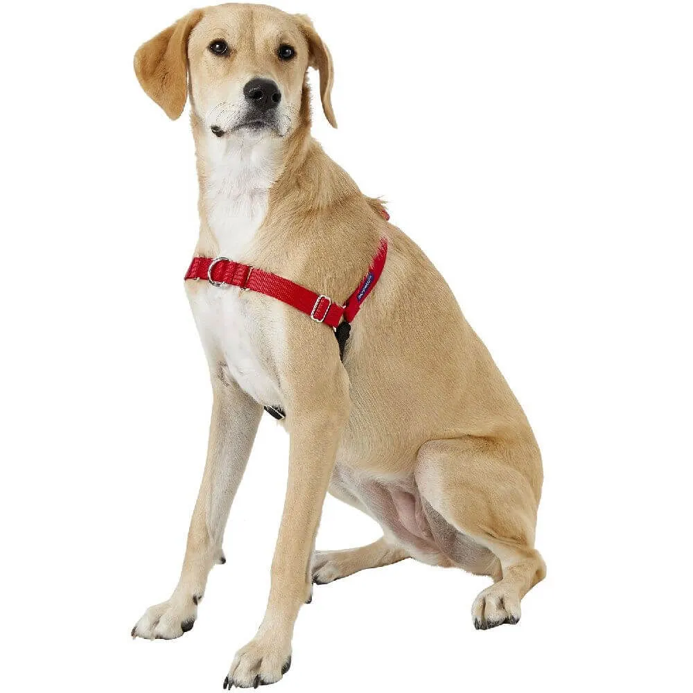 PetSafe Easy Walk Black/Silver