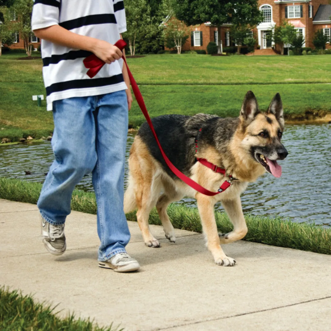 Petsafe Easy Walk Dog Harness
