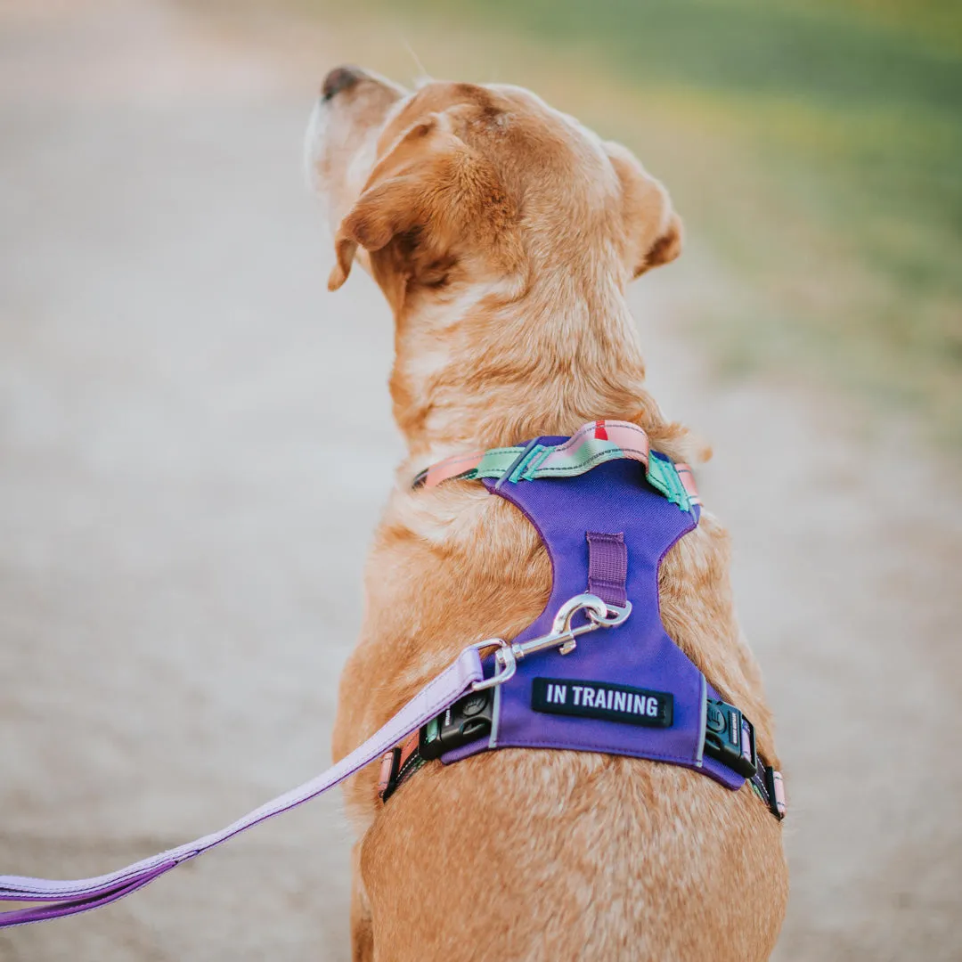 Purple Atlas Odyssey Harness