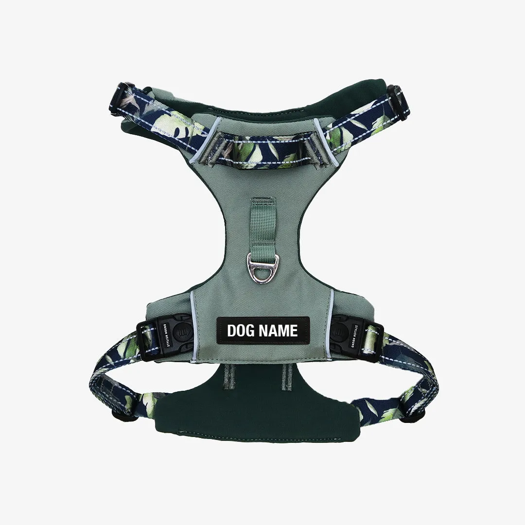 Sage Eden Odyssey Harness