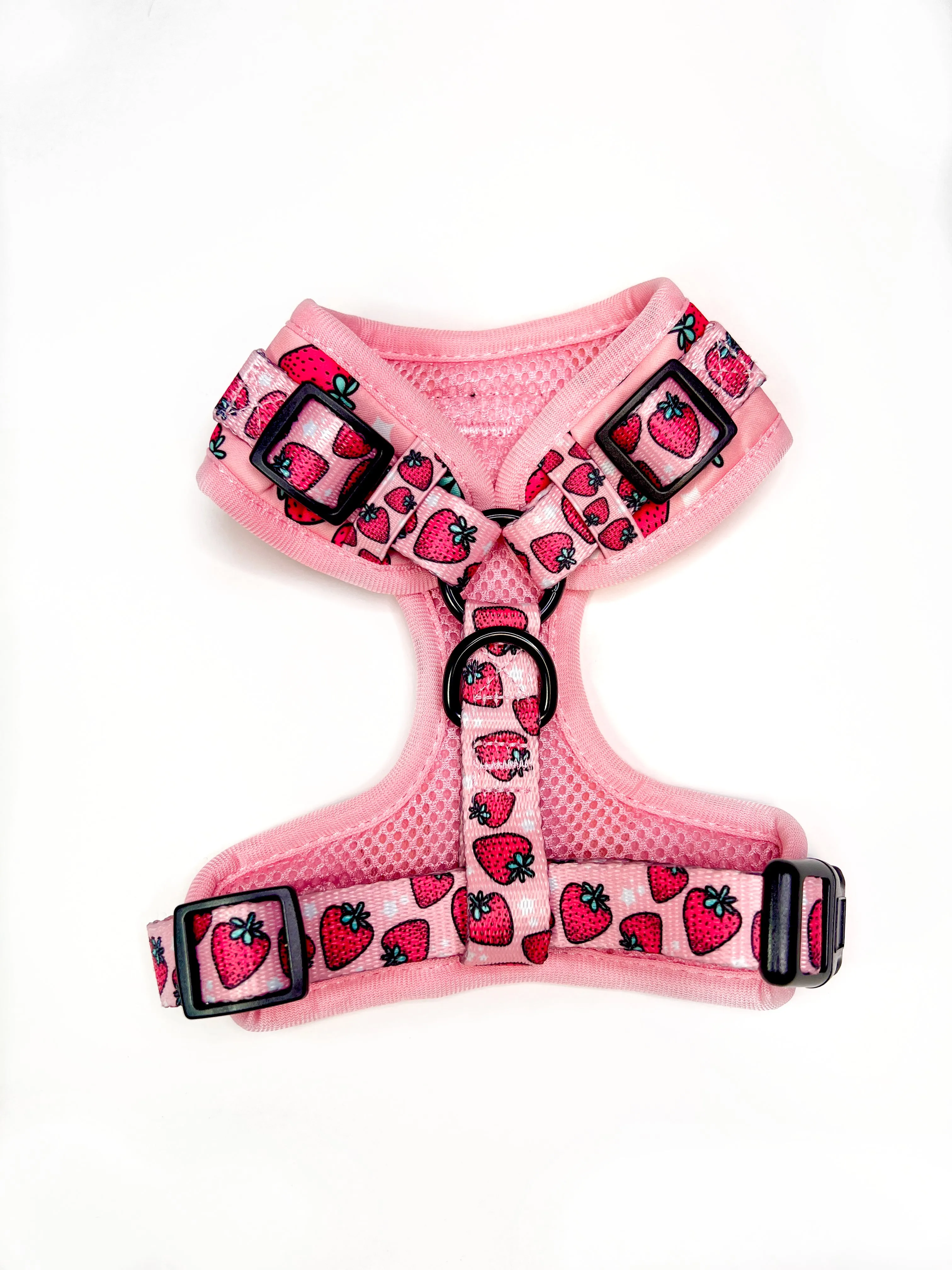 Strawberry Fields - Adjustable Dog Harness