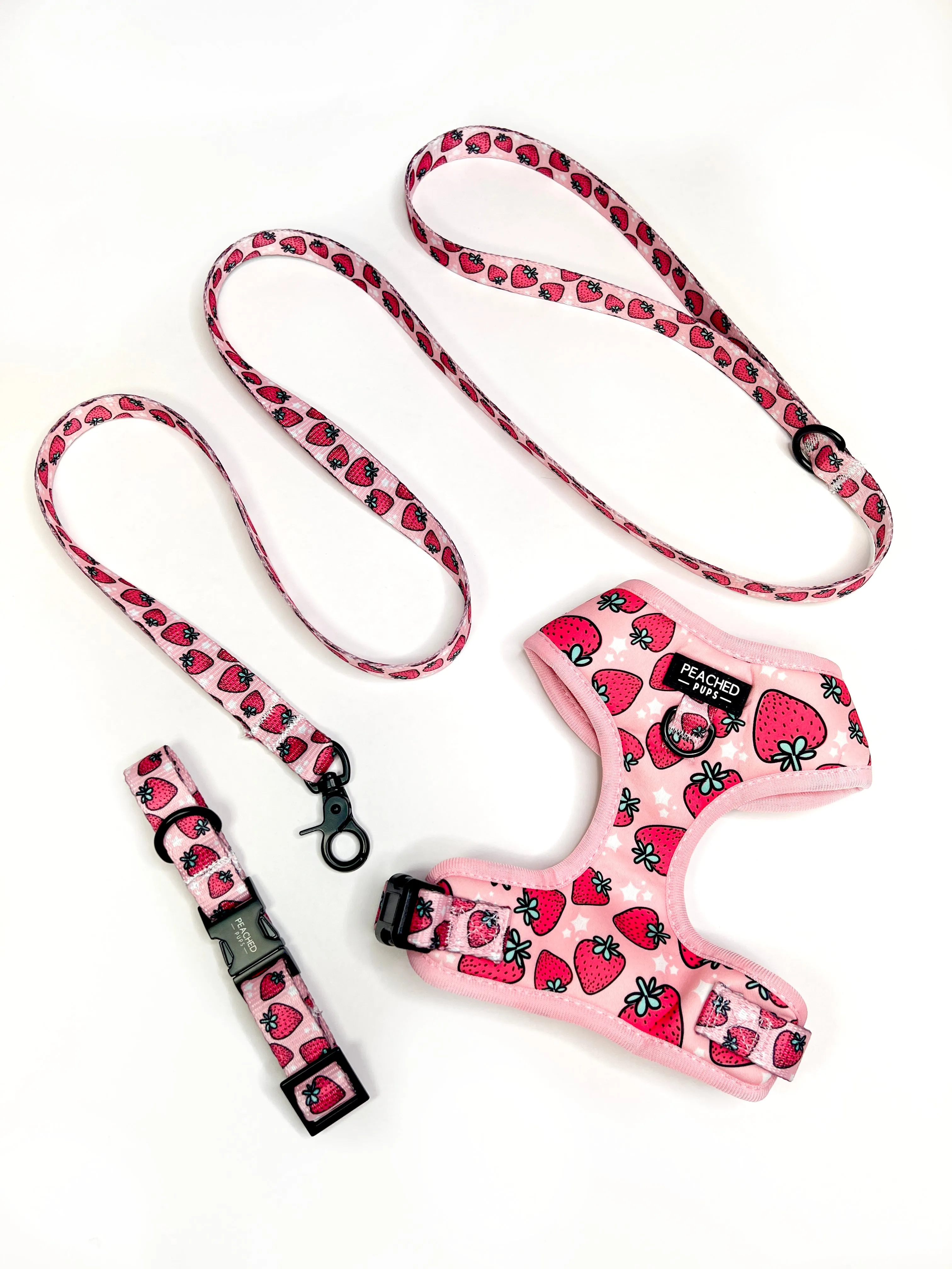 Strawberry Fields - Adjustable Dog Harness
