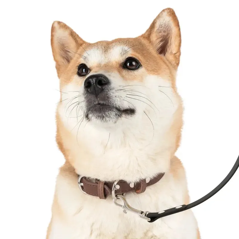Stylish Pup Leash with Unique Dog Print Pattern