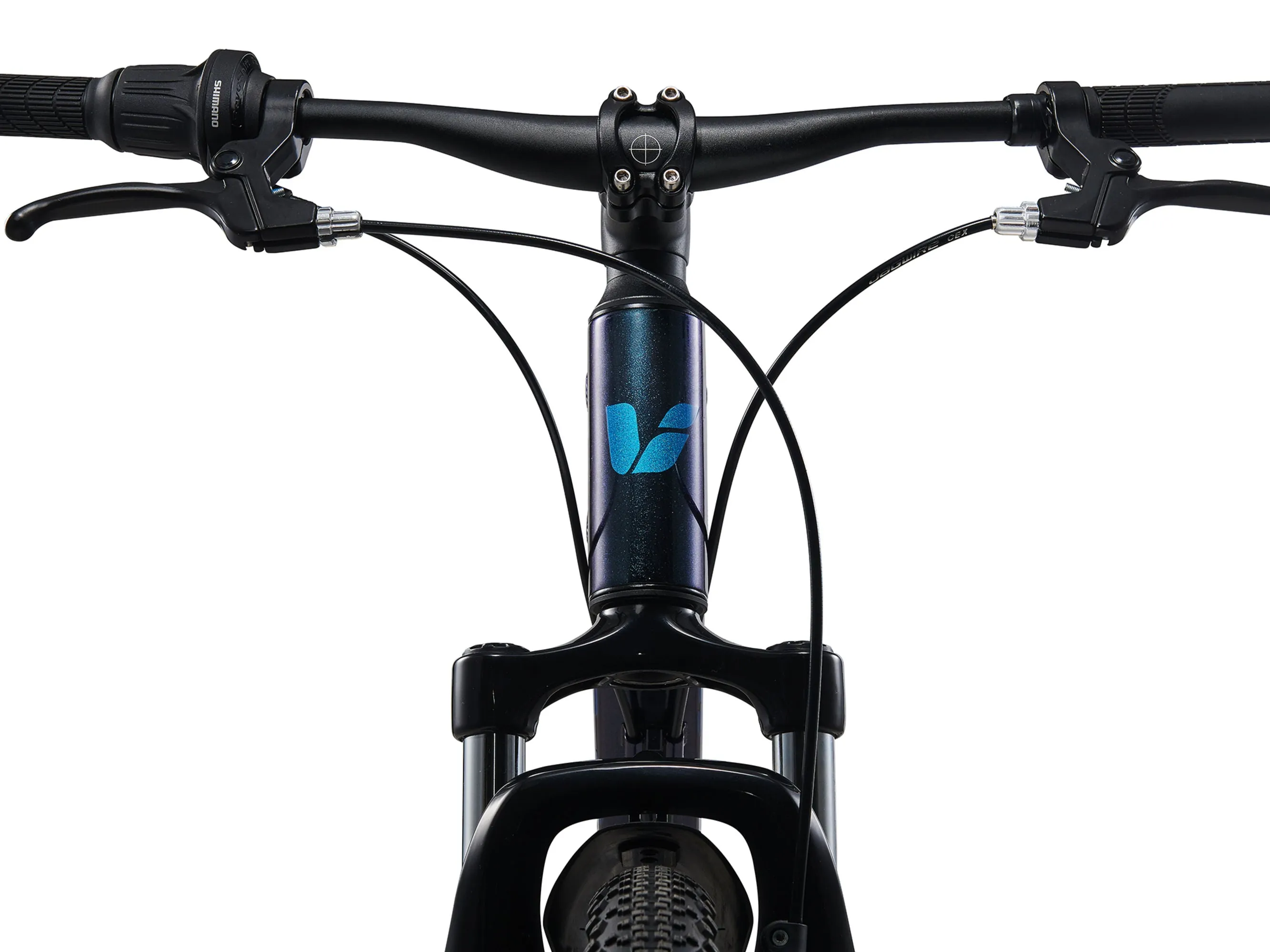 Tempt 24 Disc