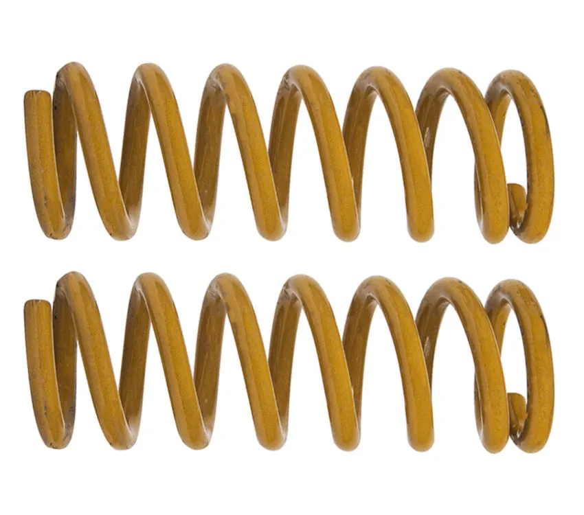 Tough Dog Rear Coil Springs Ford Ranger Raptor (Pair)