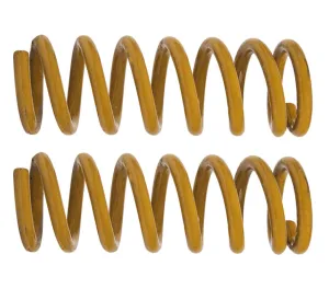 Tough Dog Rear Coil Springs Ford Ranger Raptor (Pair)