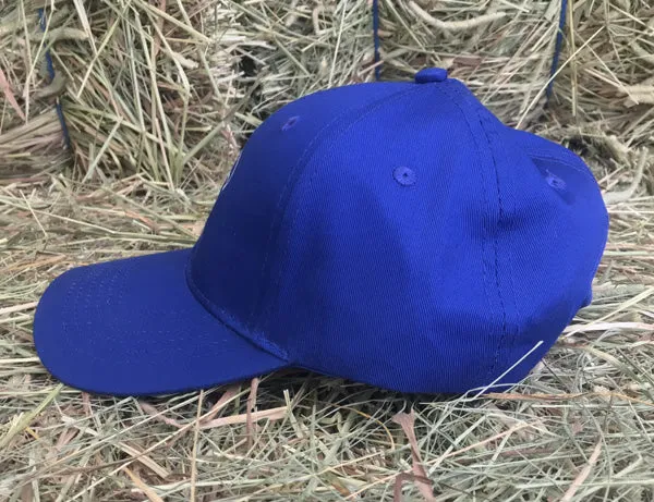 Youth Ball Cap