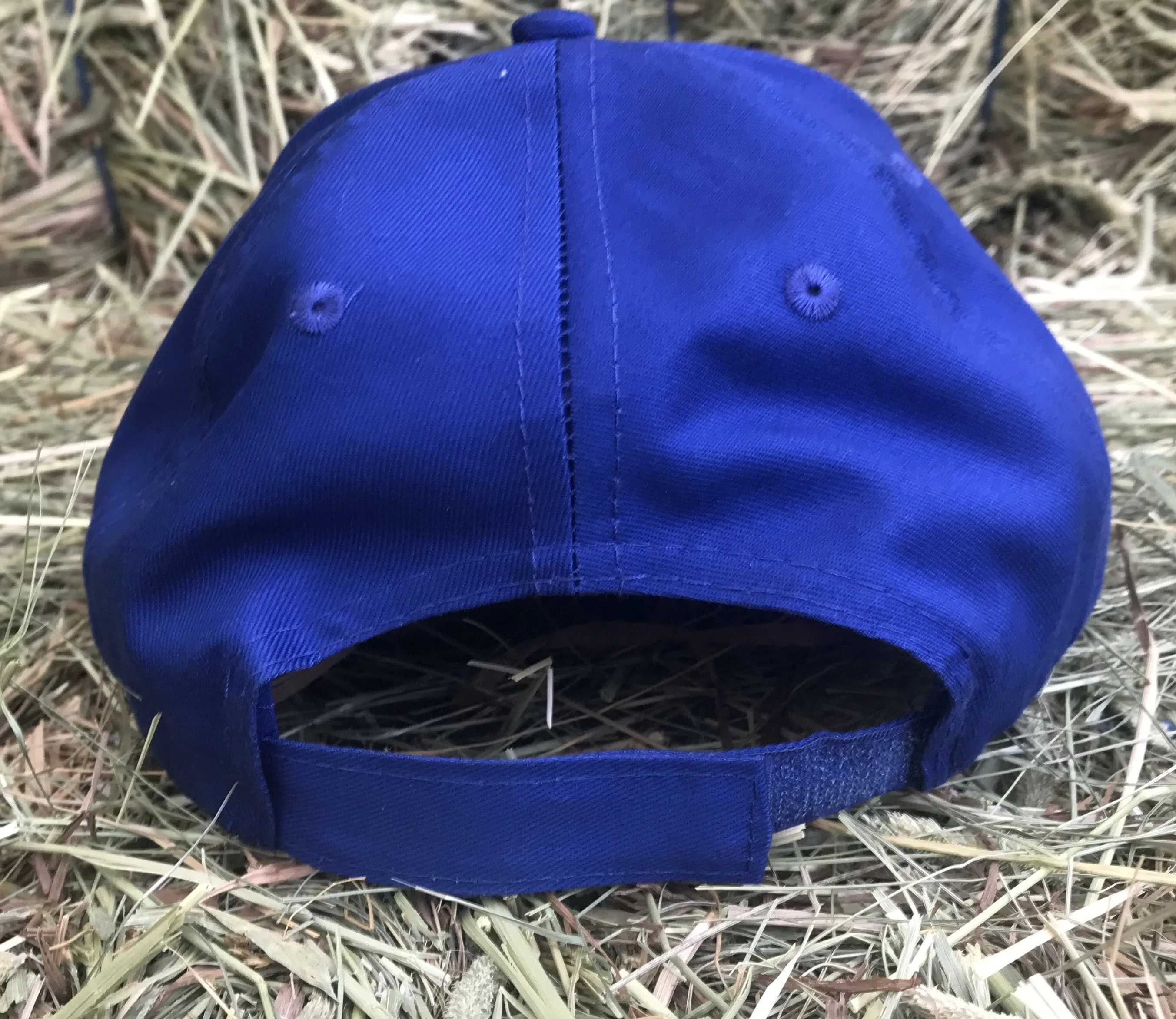 Youth Ball Cap
