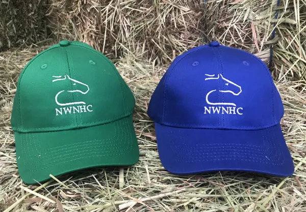 Youth Ball Cap