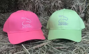 Youth Ball Cap