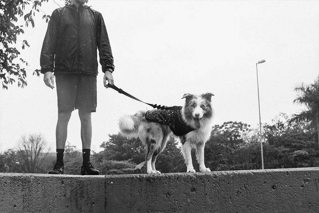 Zee.Dog Ozzy Raincoat